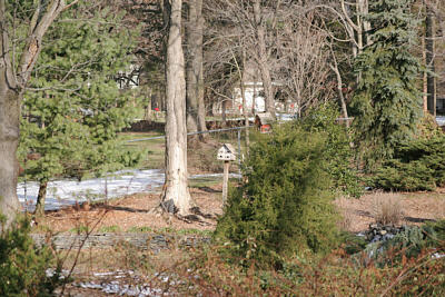55_f4_example.jpg (43363 bytes)