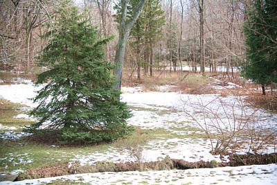 full_frame.jpg (42975 bytes)